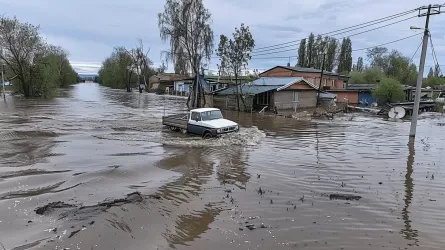 Уровень Иртыша может подняться еще на полметра в Павлодарской области 